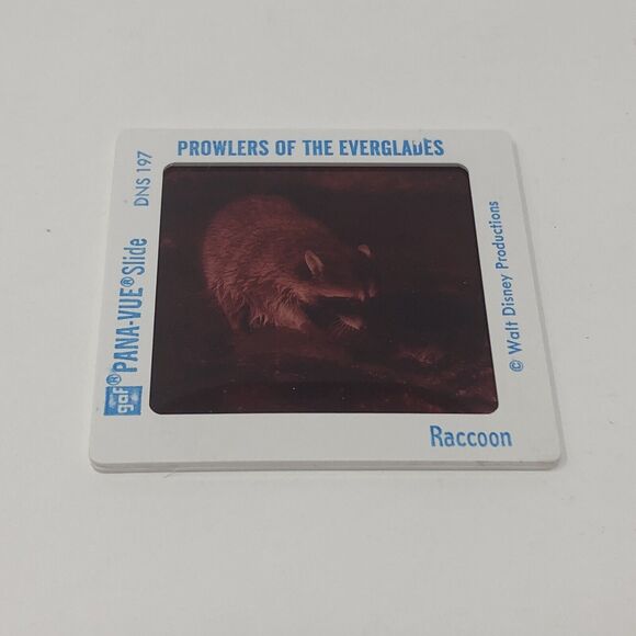 Vintage Walt Disney World Powers of the Everglades Epcot Center Pana-Vue Slides - Picture 2 of 7